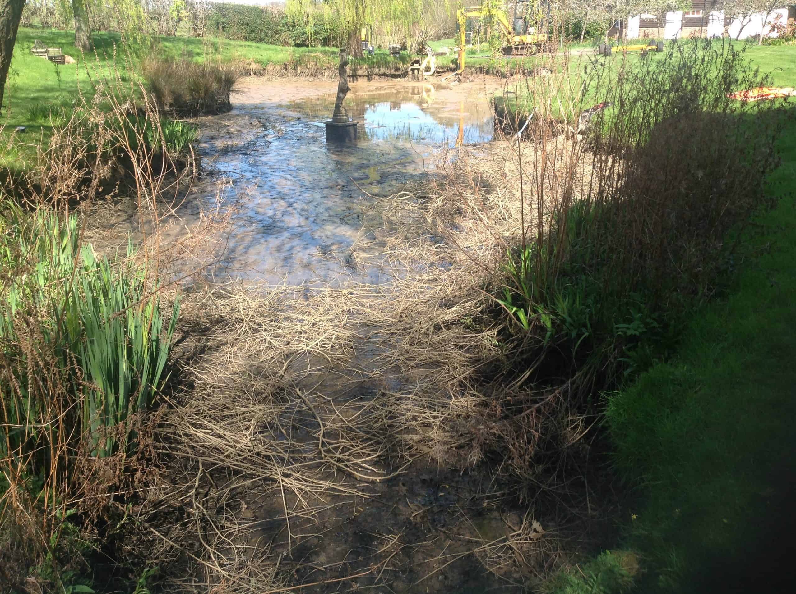 A Pond before employing dredging and desilting operations