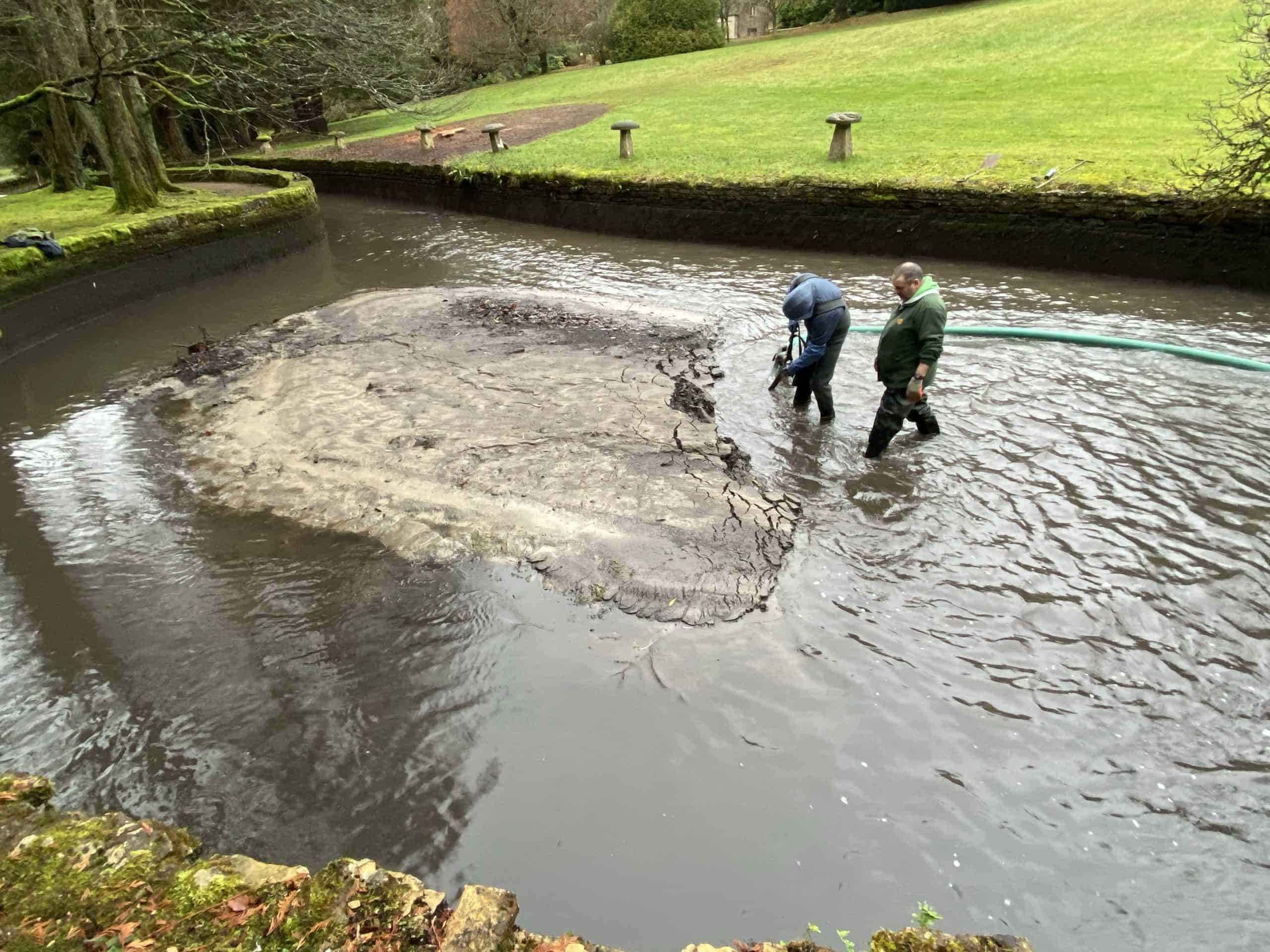 Natural Swimming Pond Silt Removal process