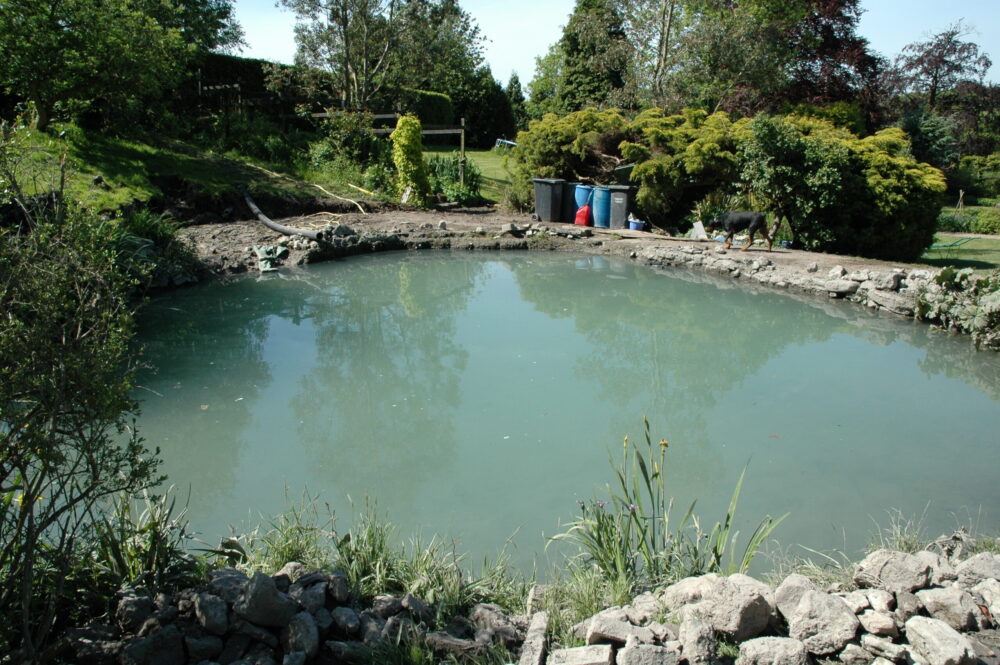 Natural Swimming Pond Experts - an example of a clean swimming pond