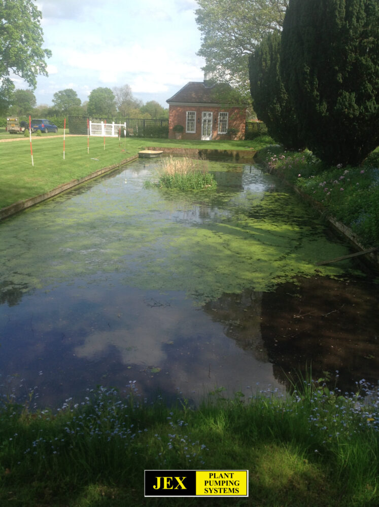 A Stately Home Lake Cleared of Silt